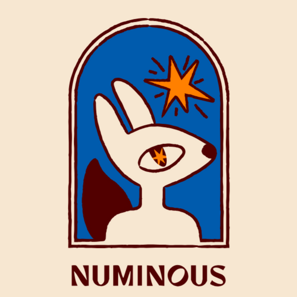 NUMINOUS