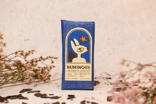 3 Cacao Bar Bundle: El Porvenir 77% Guatemala